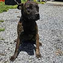 Thumbnail photo of Keebler #1