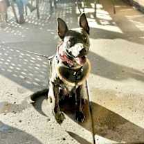 Thumbnail photo of Janey #1