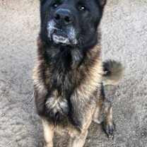 Thumbnail photo of Bronx #2