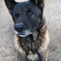 Thumbnail photo of Bronx #4