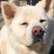 Thumbnail photo of Takashi #1