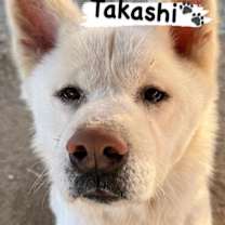 Thumbnail photo of Takashi #4