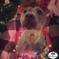 Thumbnail photo of Crumble #1