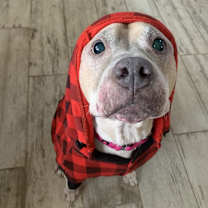 Thumbnail photo of Crumble #3