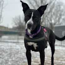 Thumbnail photo of Selene #1