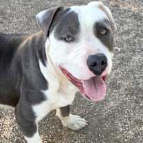 Thumbnail photo of GABE #2