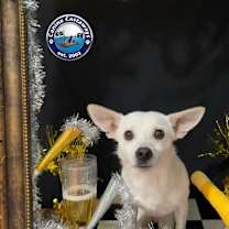 Thumbnail photo of Crayola #2