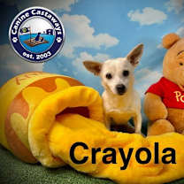 Thumbnail photo of Crayola #3