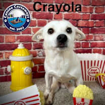 Thumbnail photo of Crayola #4