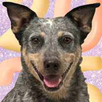 Thumbnail photo of Gaby #1