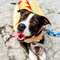 Thumbnail photo of Emelia #1