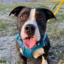 Thumbnail photo of Emelia #2