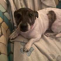 Thumbnail photo of Whiskey* #1