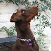 Thumbnail photo of BLITZ #2