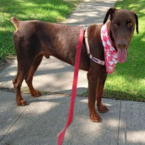 Thumbnail photo of BLITZ #3