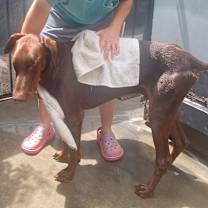 Thumbnail photo of BLITZ #4