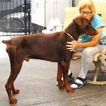 Thumbnail photo of BLITZ #3