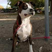 Thumbnail photo of CHARM #1