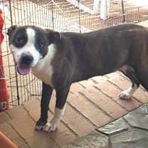 Thumbnail photo of CHARM #4