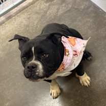 Thumbnail photo of Ellie #2