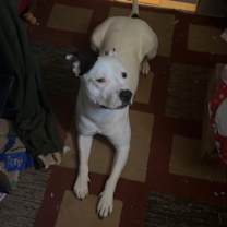 Thumbnail photo of Tater #2