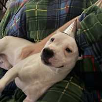 Thumbnail photo of Tater #3