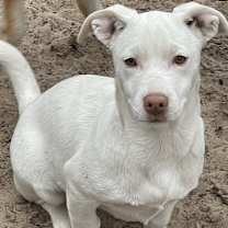 Thumbnail photo of Misty #3