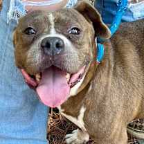 Thumbnail photo of Lady McBeth #2