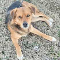 Thumbnail photo of Bunny Butt  Ralph #3