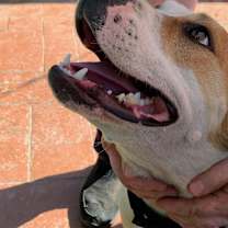 Thumbnail photo of LUKE #2