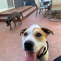 Thumbnail photo of LUKE #3