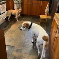 Thumbnail photo of LUKE #4