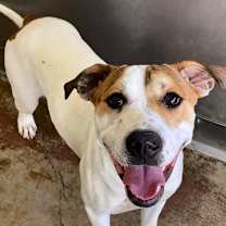 Thumbnail photo of LUKE #2