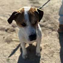 Thumbnail photo of LUKE #1