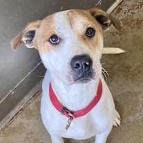 Thumbnail photo of LUKE #3