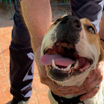 Thumbnail photo of LUKE #4