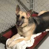 Thumbnail photo of ANNIE #2