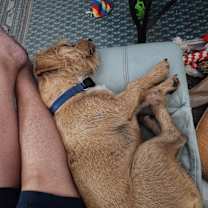 Thumbnail photo of Bear #4