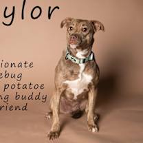 Thumbnail photo of Saylor #2