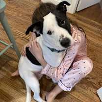 Thumbnail photo of Breezy #4