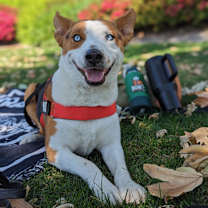 Thumbnail photo of Kenai #1