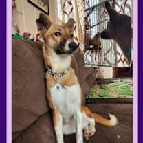 Thumbnail photo of RITA #1