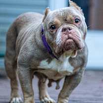 Thumbnail photo of Constance #1