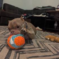 Thumbnail photo of Constance #3