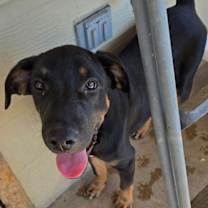 Thumbnail photo of Lucas #1