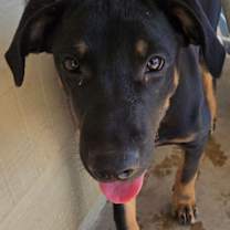 Thumbnail photo of Lucas #2