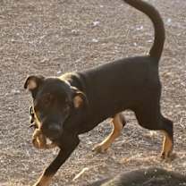 Thumbnail photo of Lucas #3