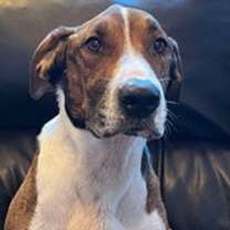 Thumbnail photo of Raider #2