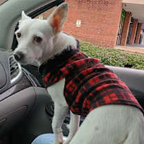 Thumbnail photo of HOPE #2
