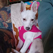Thumbnail photo of HOPE #3